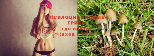 мескалин Алексеевка