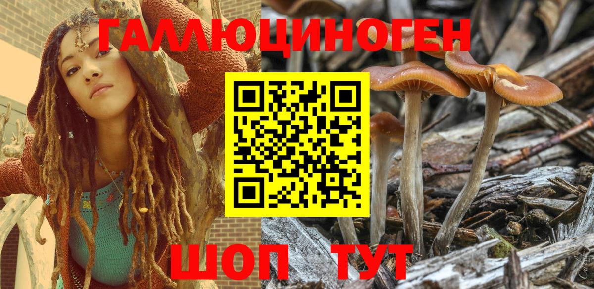 Галлюциногенные грибы Psilocybe  Донецк 