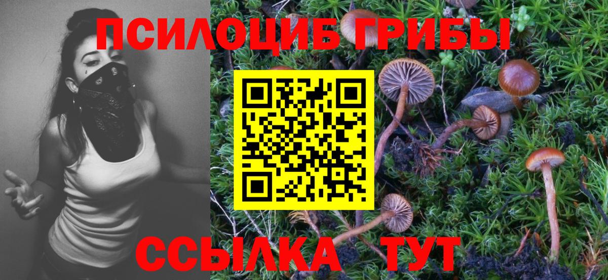 Галлюциногенные грибы мухоморы  Вход с VPN  Донецк 