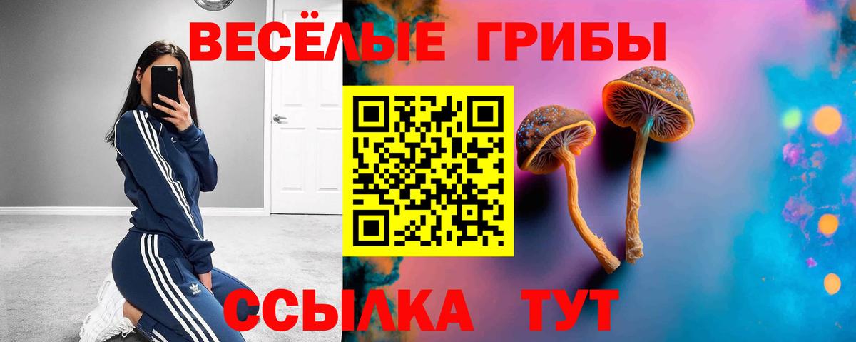 Галлюциногенные грибы GOLDEN TEACHER Донецк